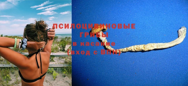 СК Алзамай