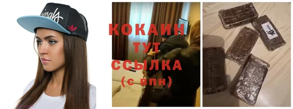 крисы Алексин