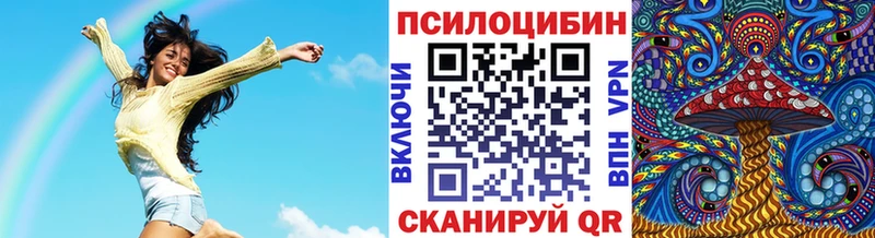 Псилоцибиновые грибы ЛСД  блэк спрут ссылки  Нолинск 